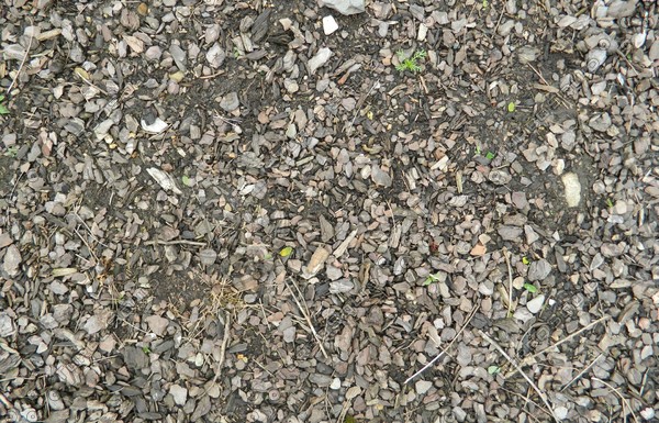Black Soil with Pebbles