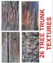 Tree Trunk Collection