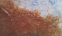 Partially Rusted Metal Surface