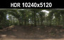 HDR 116 Forest