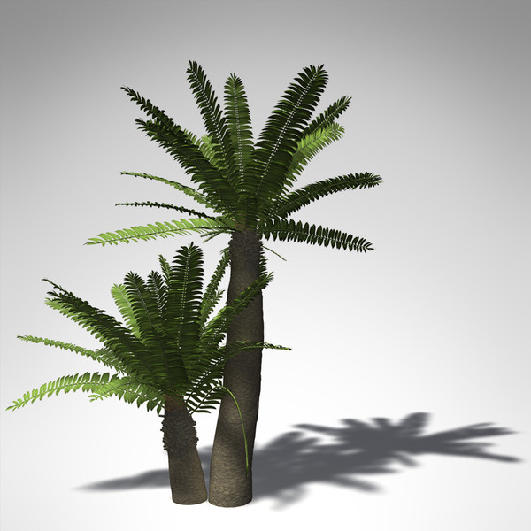 3ds max xfrogplants bushman - XfrogPlants Bushmans River Cycad... by xfrog