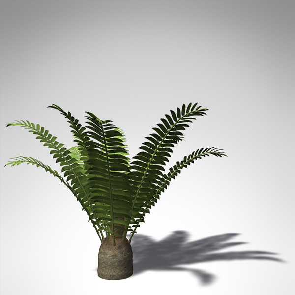 3ds max xfrogplants bushman - XfrogPlants Bushmans River Cycad... by xfrog