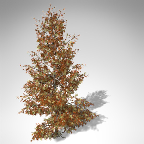 3dsmax xfrogplants autumn bald cypress - XfrogPlants Autumn Bald Cypress... by xfrog