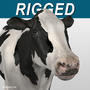 3d animation cow model