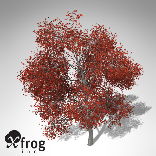 xfrogplants autumn japanese maple 3d 3ds - XfrogPlants Autumn Japanese Maple... by xfrog