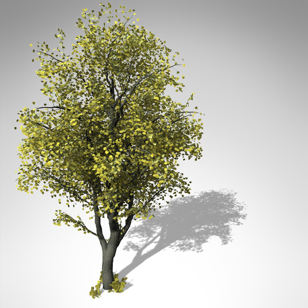 xfrogplants autumn littleleaf linden 3d 3ds - XfrogPlants Autumn Littleleaf Linden... by xfrog