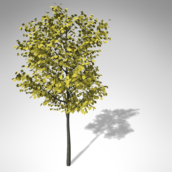 xfrogplants autumn littleleaf linden 3d 3ds - XfrogPlants Autumn Littleleaf Linden... by xfrog