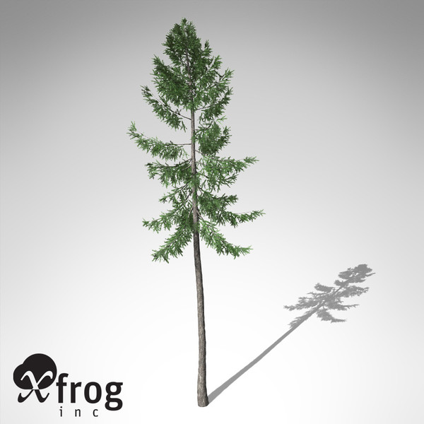 xfrogplants norway spruce tree 3ds - XfrogPlants Norway Spruce... by xfrog