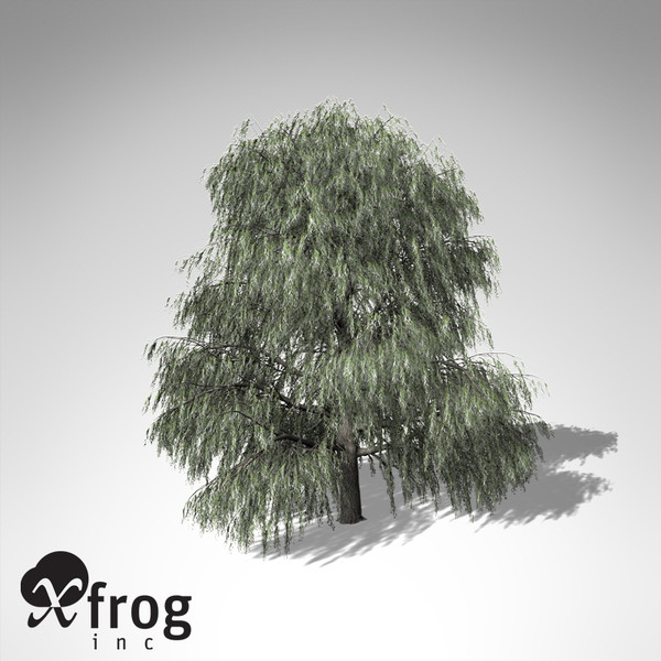 max xfrogplants weeping willow tree - XfrogPlants Weeping Willow... by xfrog