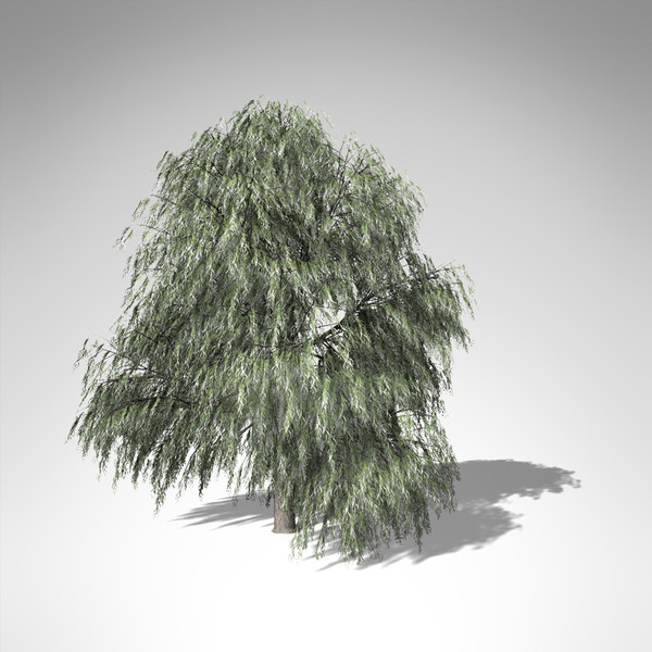 max xfrogplants weeping willow tree - XfrogPlants Weeping Willow... by xfrog