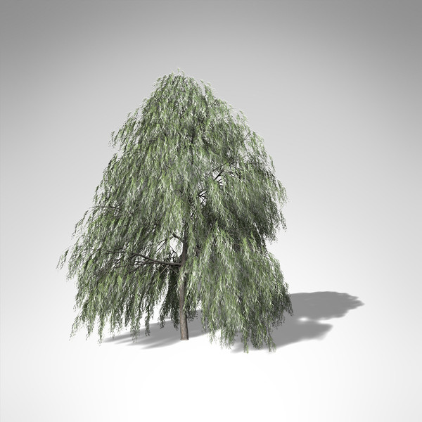max xfrogplants weeping willow tree - XfrogPlants Weeping Willow... by xfrog