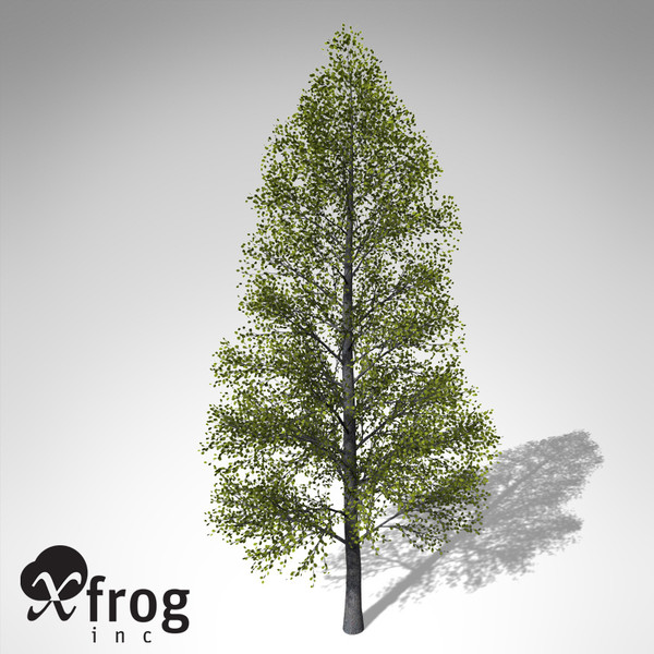 3d xfrogplants black alder tree model - XfrogPlants Black Alder... by xfrog