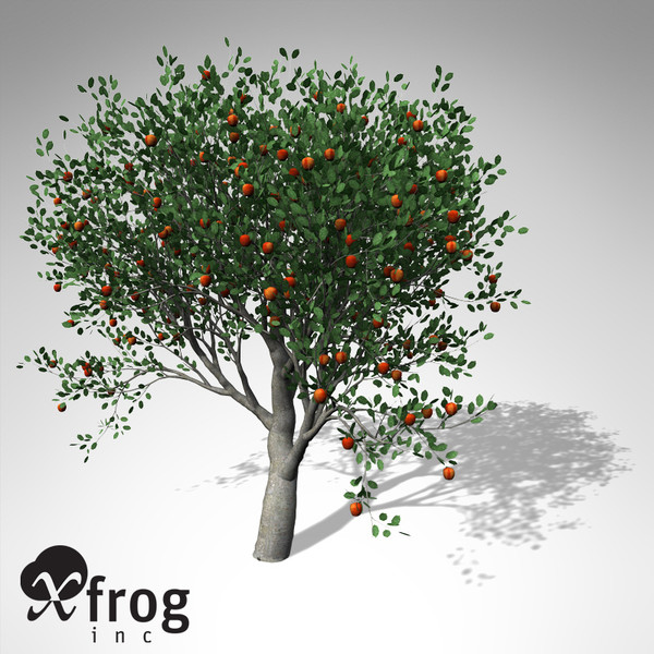 3d xfrogplants apple tree model - XfrogPlants Apple Tree... by xfrog