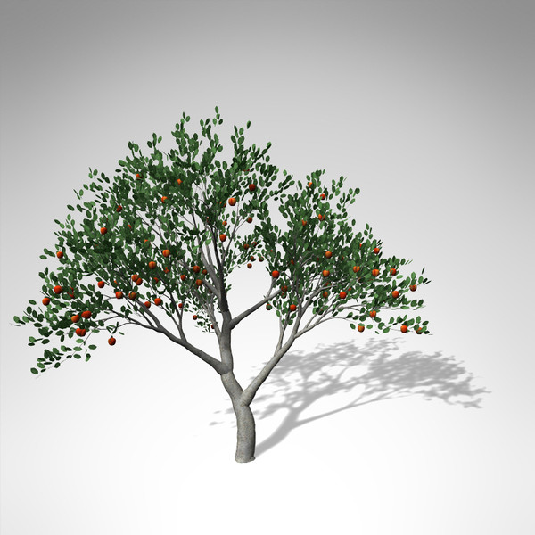 3d xfrogplants apple tree model - XfrogPlants Apple Tree... by xfrog