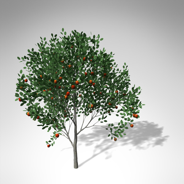 3d xfrogplants apple tree model - XfrogPlants Apple Tree... by xfrog