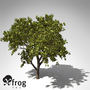 xfrogplants mango tree 3ds