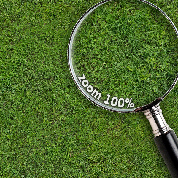 Grass Textures