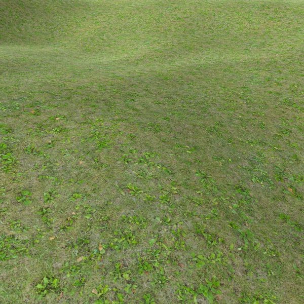 Grass Textures