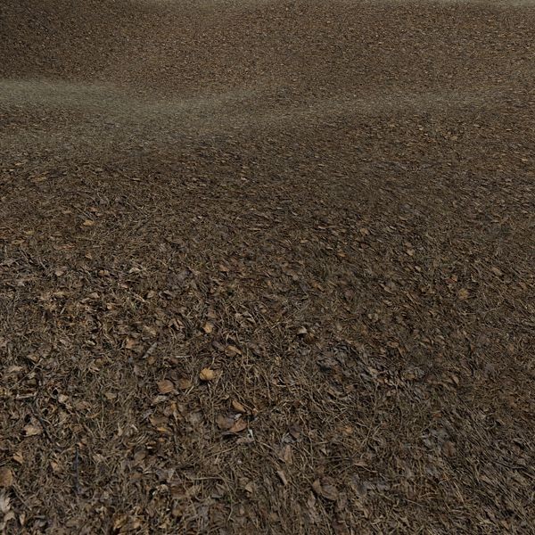 Grass Textures