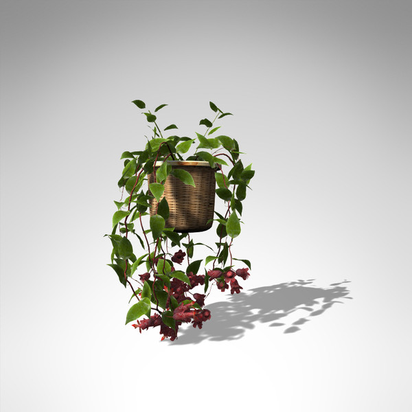 XfrogPlants Mona Lisa