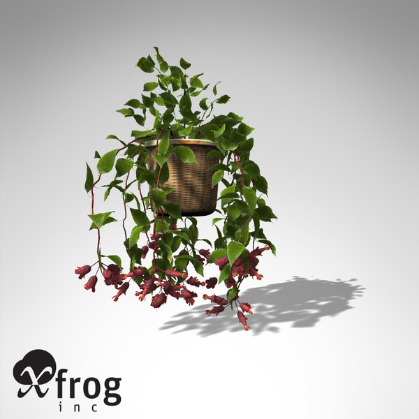 XfrogPlants Mona Lisa