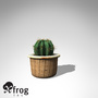 3d xfrogplants electrode cactus plant