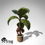 3dsmax xfrogplants banana plant x