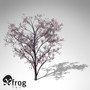 xfrogplants judas tree 3d max