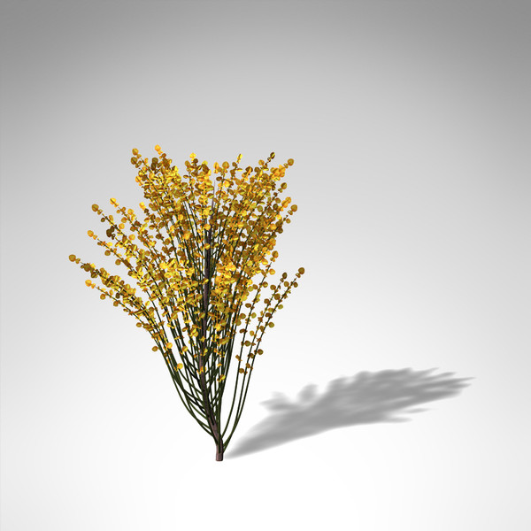 3d xfrogplants spanish broom shrub model - XfrogPlants Spanish Broom... by xfrog