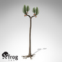 xfrogplants sigillaria plant 3ds