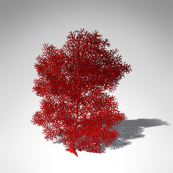 giant sea fan coral 3d model - XfrogPlants Giant Sea Fan... by xfrog
