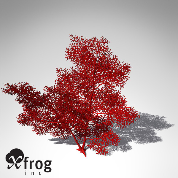 giant sea fan coral 3d model - XfrogPlants Giant Sea Fan... by xfrog