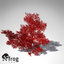 XfrogPlants Giant Sea Fan