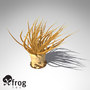 xfrogplants tube anemone animal 3d 3ds