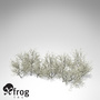 3ds max xfrogplants blackthorn