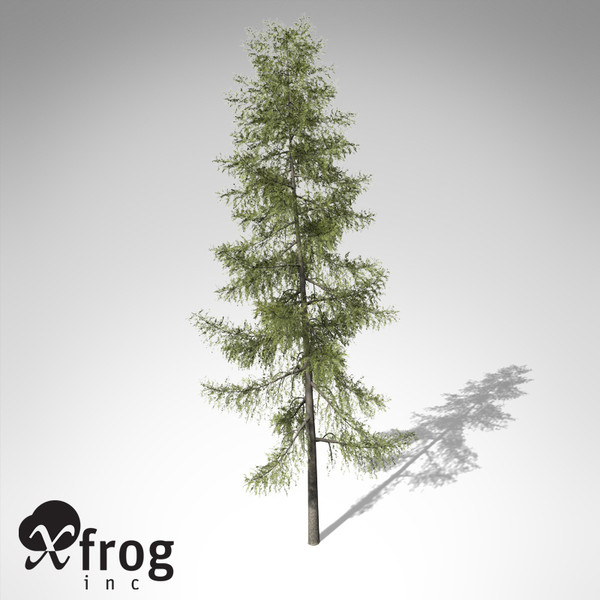 3d xfrogplants tamarack tree model - XfrogPlants Tamarack... by xfrog