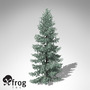 3dsmax xfrogplants engelmann white spruce