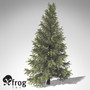 3d xfrogplants eastern hemlock tree model