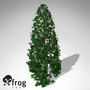 3ds max xfrogplants southern magnolia tree