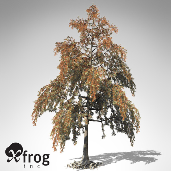 xfrogplants bald cypress tree 3ds - XfrogPlants Bald Cypress... by xfrog
