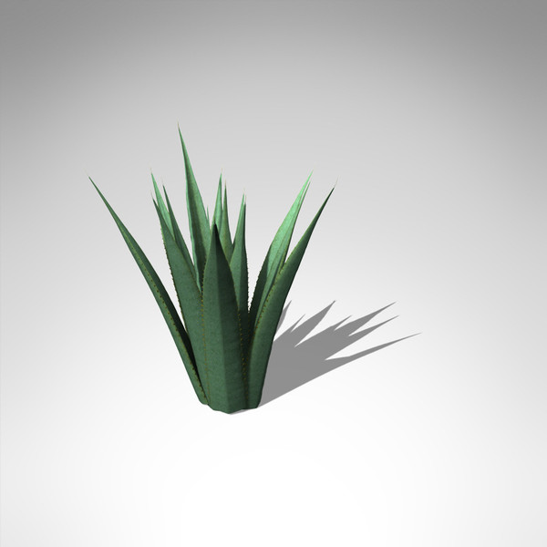 xfrogplants century plant 3ds - XfrogPlants Century Plant... by xfrog
