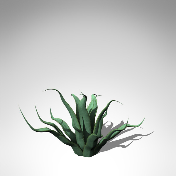xfrogplants century plant 3ds - XfrogPlants Century Plant... by xfrog