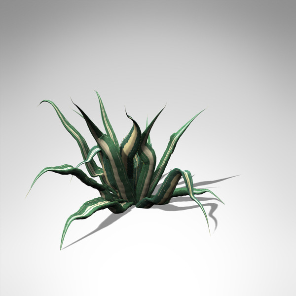 xfrogplants century plant 3ds - XfrogPlants Century Plant... by xfrog