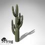 giant saguaro plant 3d model