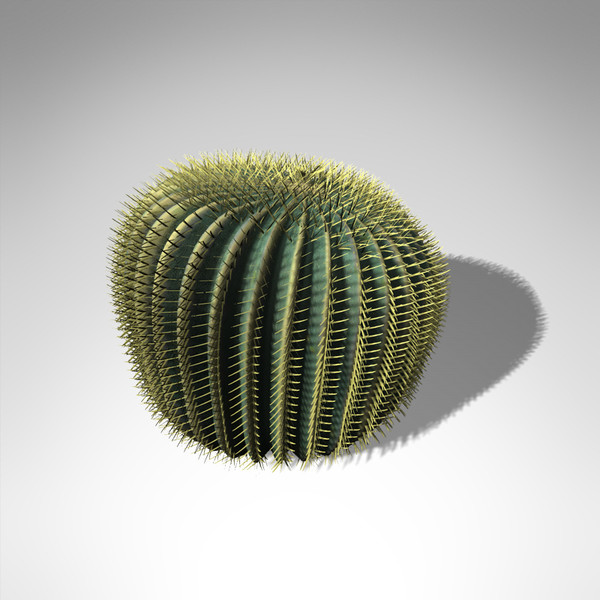 3d max xfrogplants barrel cactus plant - XfrogPlants Barrel Cactus... by xfrog