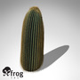 3d max xfrogplants barrel cactus plant
