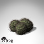 strawberry hedgehog plant 3d model