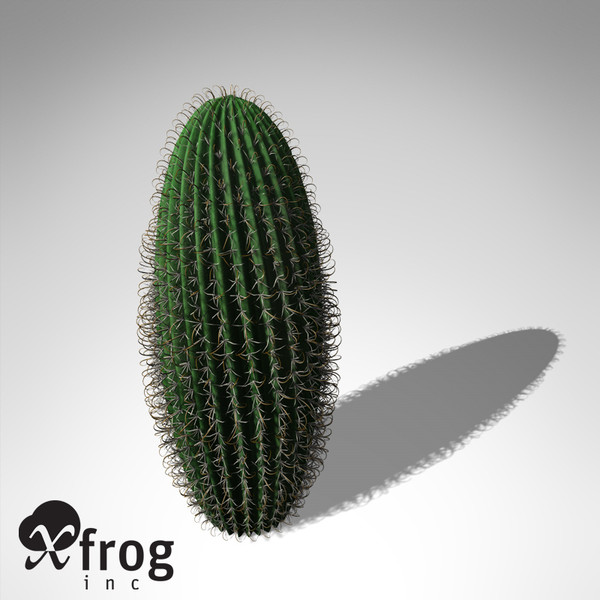 XfrogPlants Arizona Barrel Cactus
