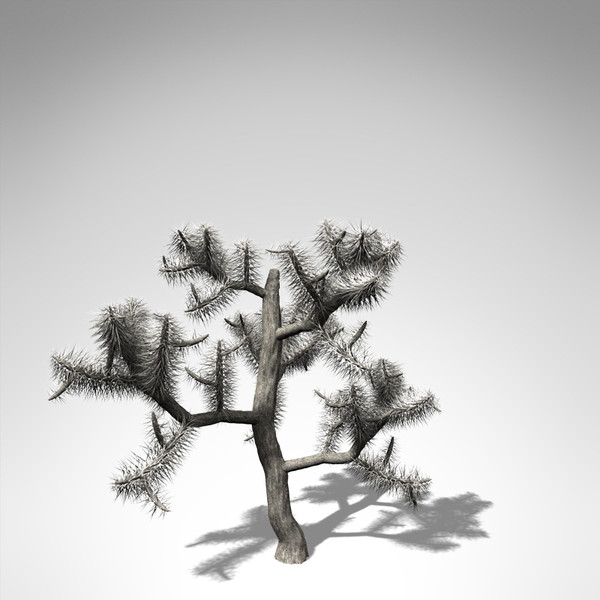 xfrogplants jumping cholla plant 3d model - XfrogPlants Jumping Cholla... by xfrog