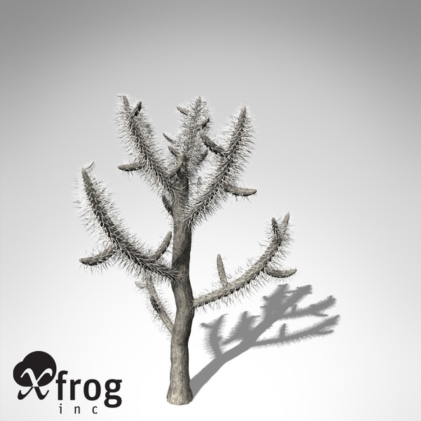 xfrogplants jumping cholla plant 3d model - XfrogPlants Jumping Cholla... by xfrog